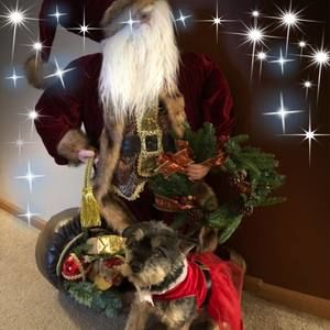 Meet your Posher, Lyn